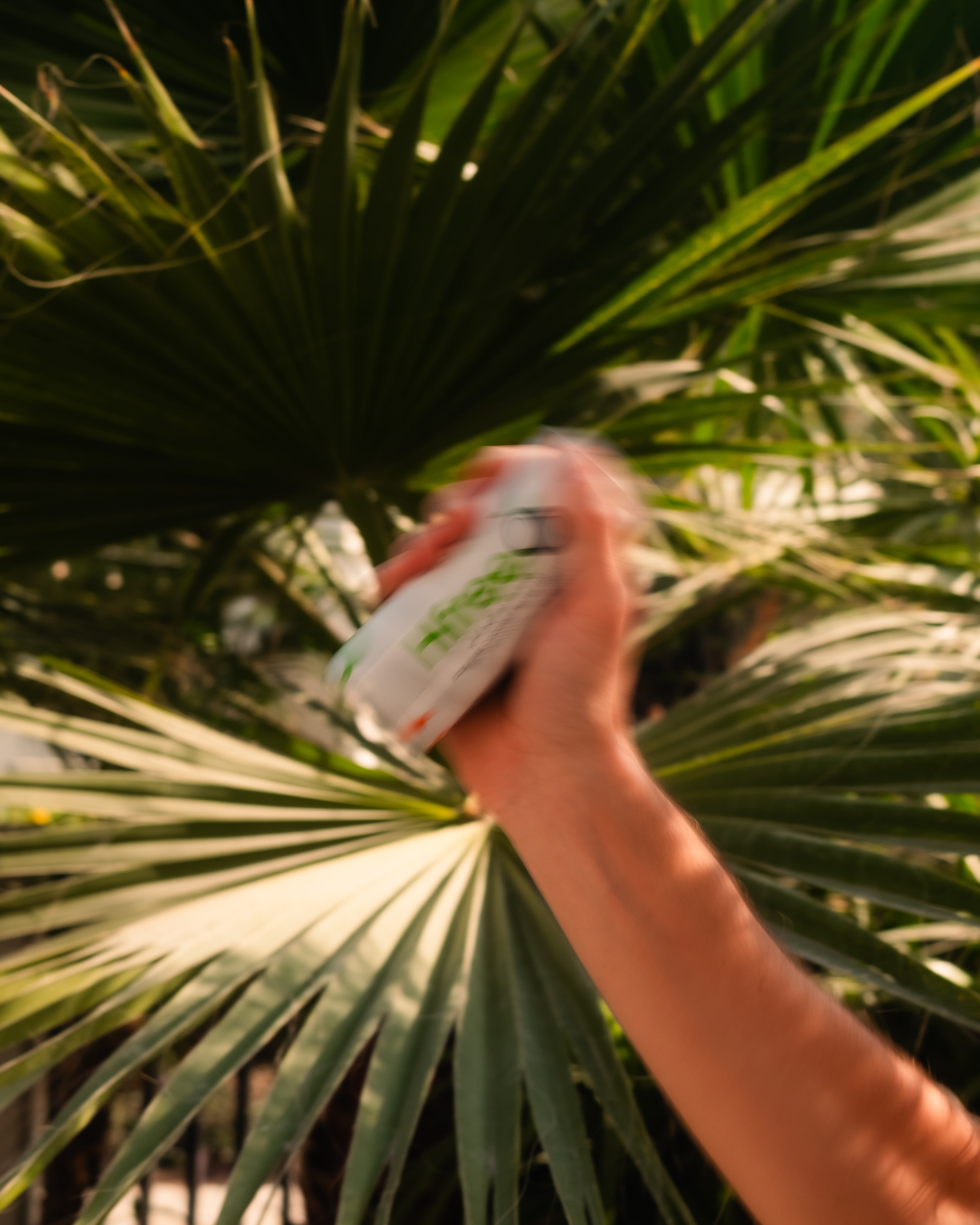Reaching for a chilled HfreeO can